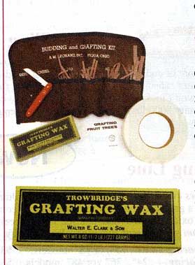 Grafting wax