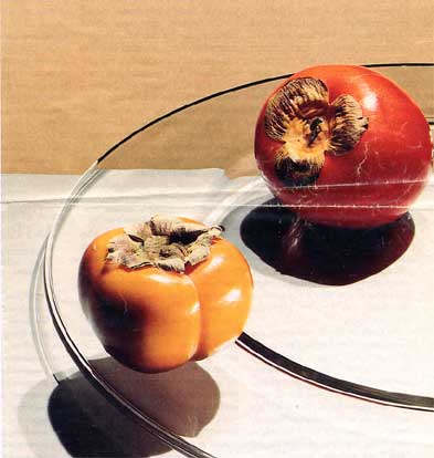 persimmon.jpg